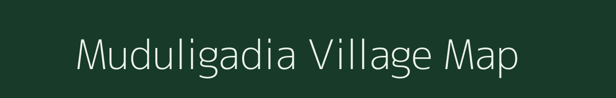 Muduligadia village map in Odisha