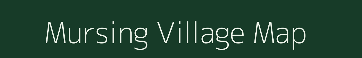 Mursing village map in Odisha