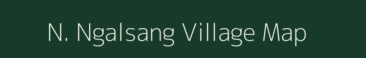 N. Ngalsang village map in Assam