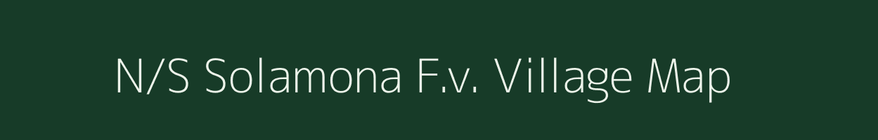 N/S Solamona F.v. village map in Assam