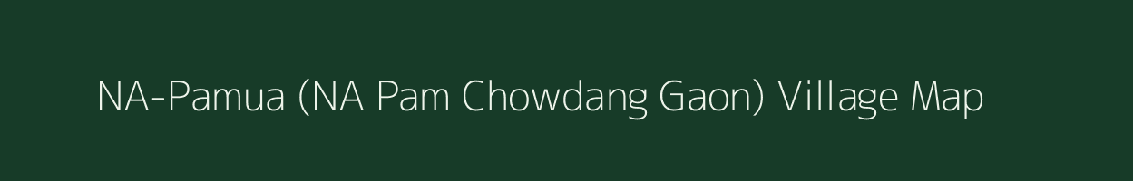 NA-Pamua (NA Pam Chowdang Gaon) village map in Assam