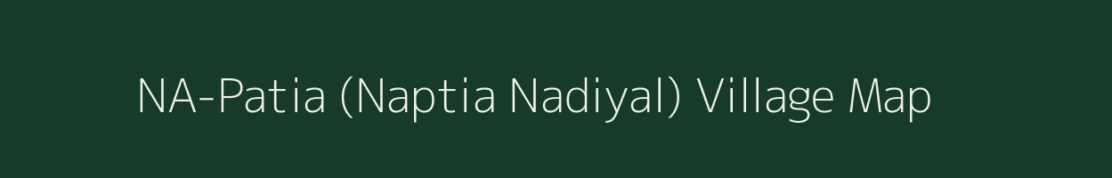 NA-Patia (Naptia Nadiyal) village map in Assam