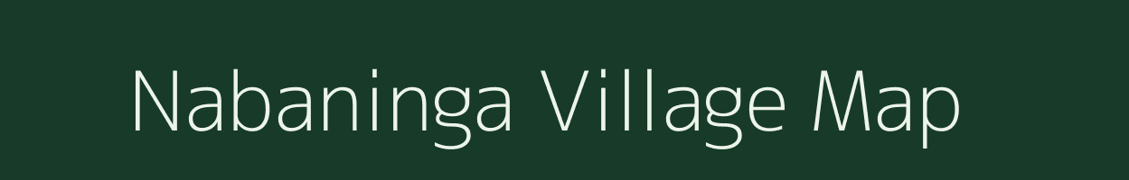 Nabaninga village map in Odisha