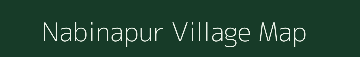 Nabinapur village map in Odisha