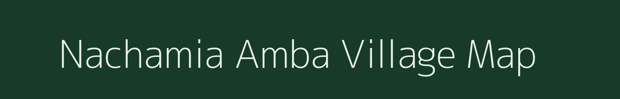 Nachamia Amba village map in Jharkhand