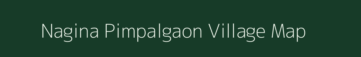 Nagina Pimpalgaon village map in Maharashtra