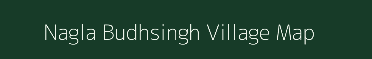 Nagla Budhsingh village map in Rajasthan