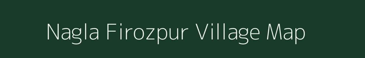 Nagla Firozpur village map in Rajasthan