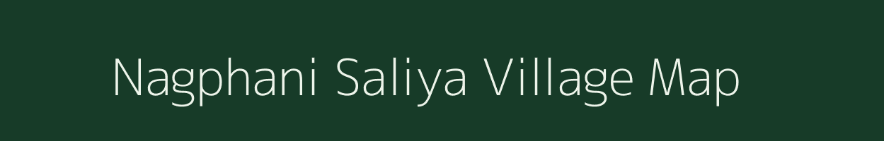 Nagphani Saliya village map in Madhya Pradesh