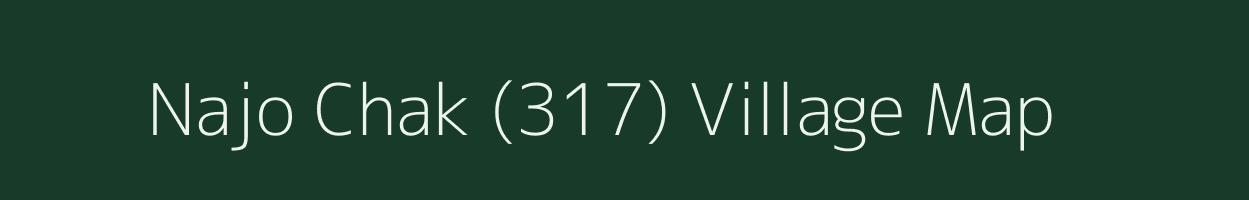 Najo Chak (317) village map in Punjab