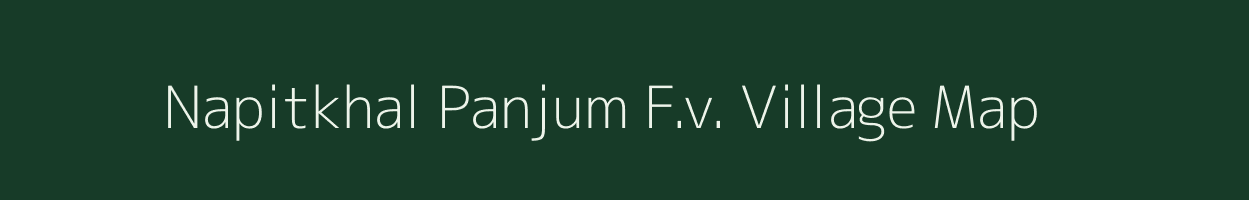 Napitkhal Panjum F.v. village map in Assam