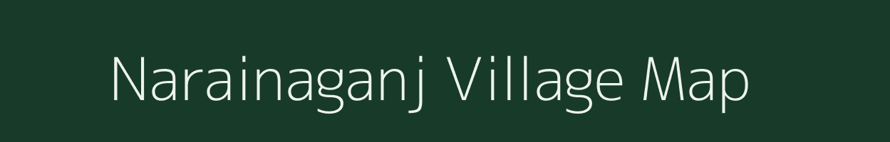 Narainaganj village map in Bihar