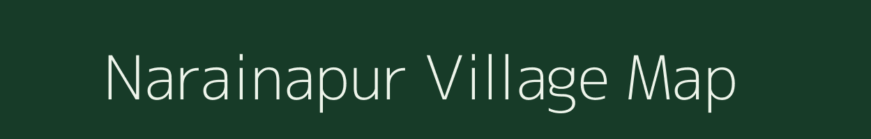 Narainapur village map in Bihar