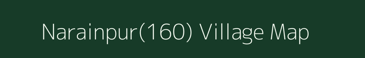 Narainpur(160) village map in Haryana