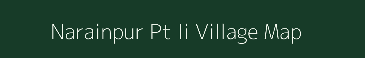 Narainpur Pt Ii village map in Assam