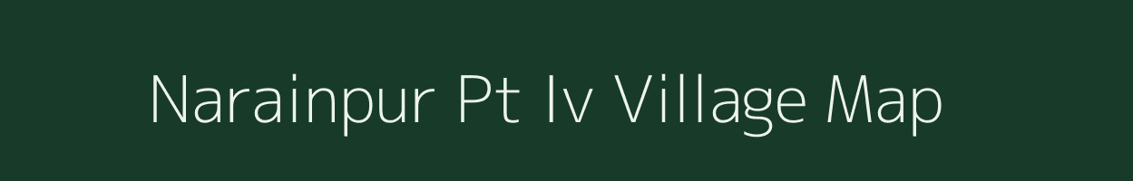 Narainpur Pt Iv village map in Assam