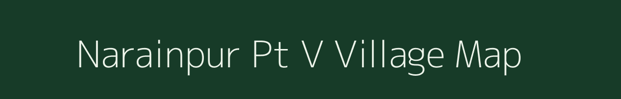 Narainpur Pt V village map in Assam