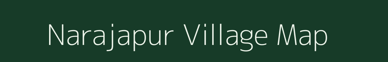 Narajapur village map in Odisha