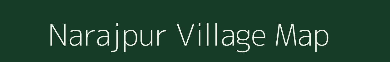 Narajpur village map in Odisha