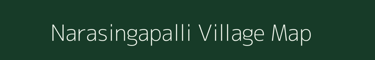 Narasingapalli village map in Odisha