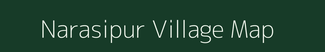 Narasipur village map in Odisha