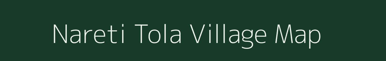 Nareti Tola village map in Chhattisgarh