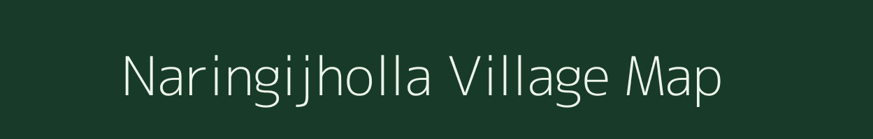 Naringijholla village map in Odisha