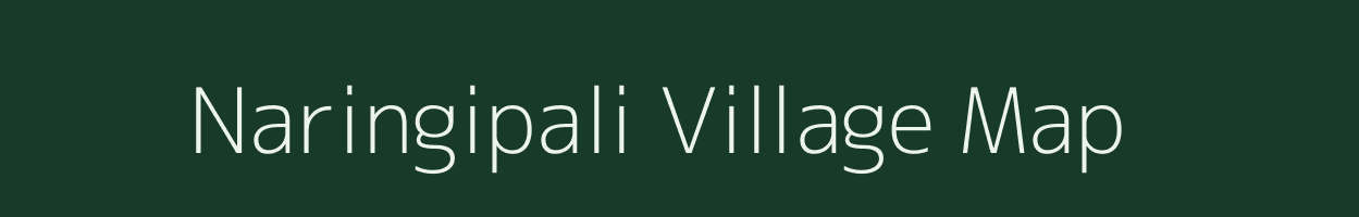 Naringipali village map in Odisha
