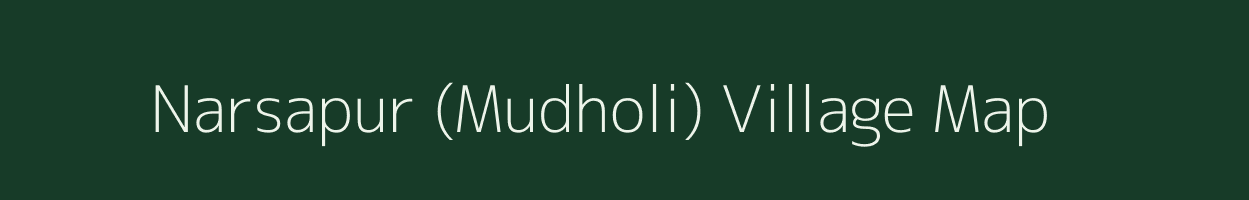 Narsapur (Mudholi) village map in Andhra Pradesh