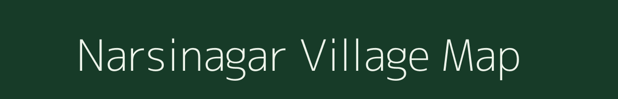 Narsinagar village map in Rajasthan
