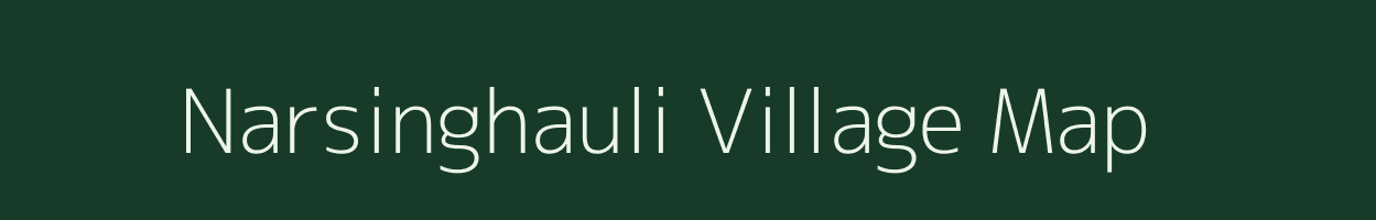 Narsinghauli village map in Bihar