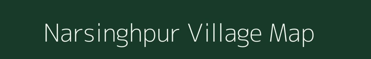 Narsinghpur village map in Chhattisgarh