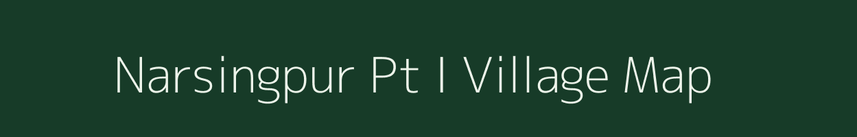 Narsingpur Pt I village map in Assam