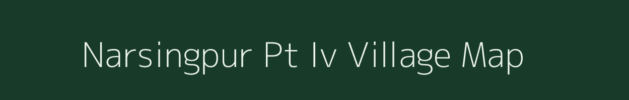 Narsingpur Pt Iv village map in Assam