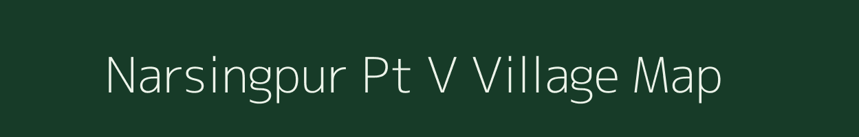 Narsingpur Pt V village map in Assam