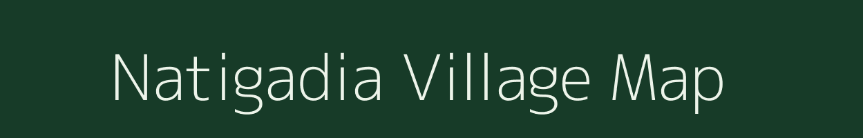 Natigadia village map in Odisha