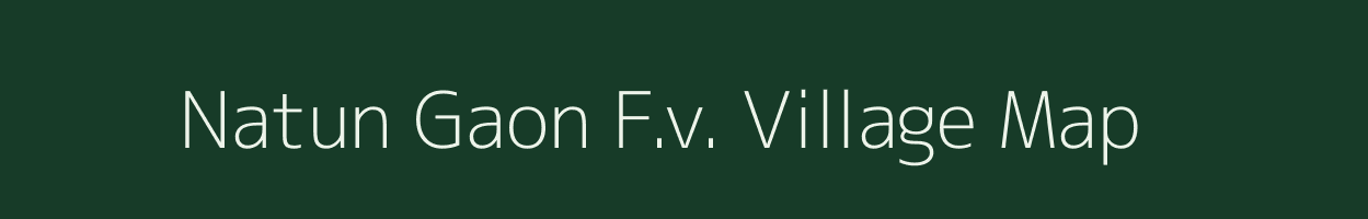 Natun Gaon F.v. village map in Assam