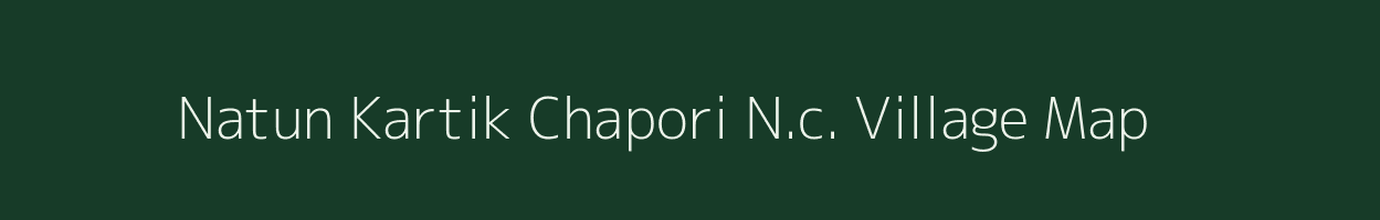 Natun Kartik Chapori N.c. village map in Assam