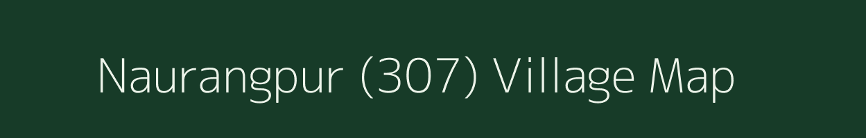 Naurangpur (307) village map in Punjab