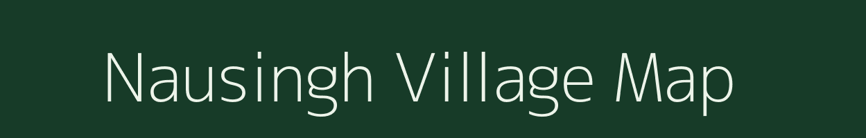 Nausingh village map in Odisha