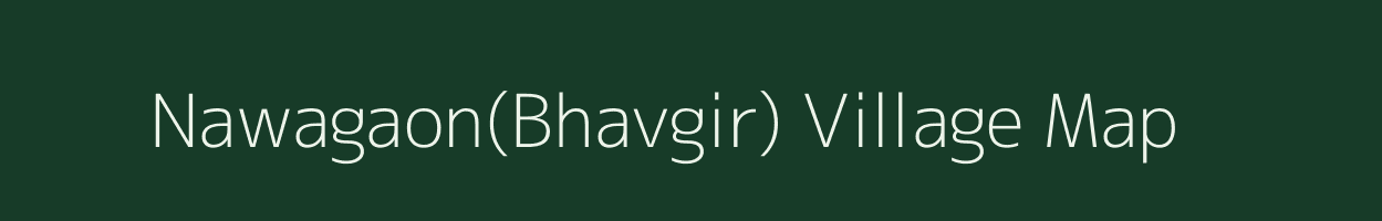 Nawagaon(Bhavgir) village map in Chhattisgarh