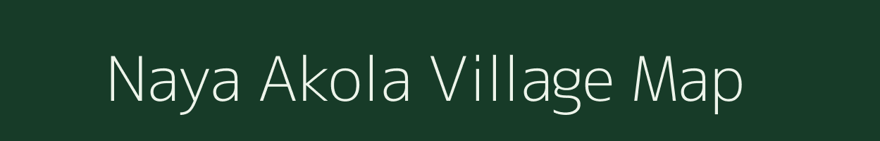 Naya Akola village map in Maharashtra