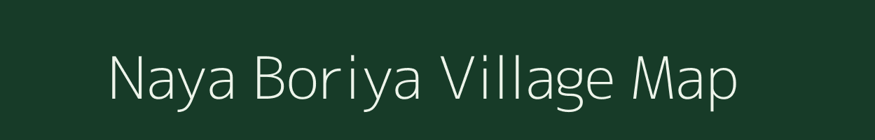 Naya Boriya village map in Rajasthan