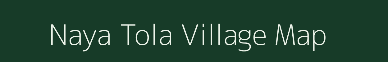 Naya Tola village map in Bihar