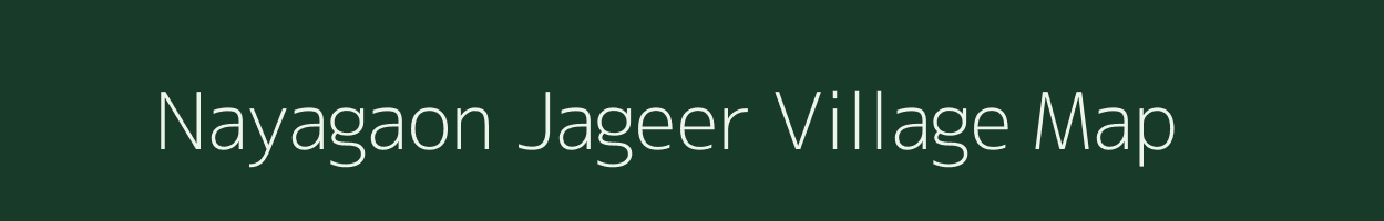 Nayagaon Jageer village map in Rajasthan