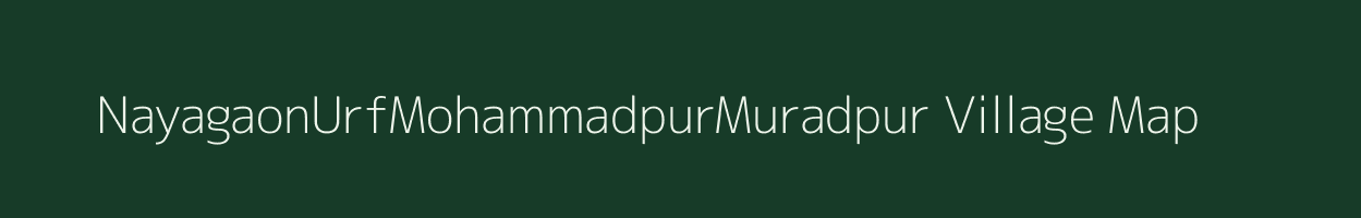 NayagaonUrfMohammadpurMuradpur village map in Bihar