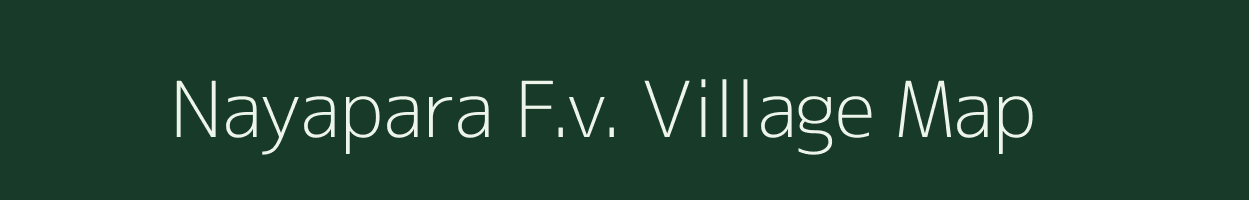 Nayapara F.v. village map in Assam