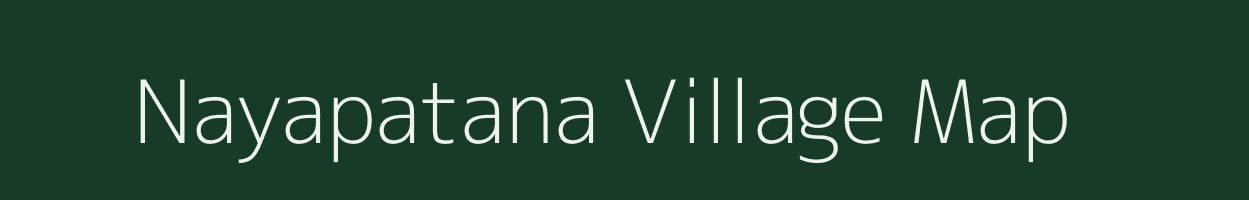 Nayapatana village map in Odisha