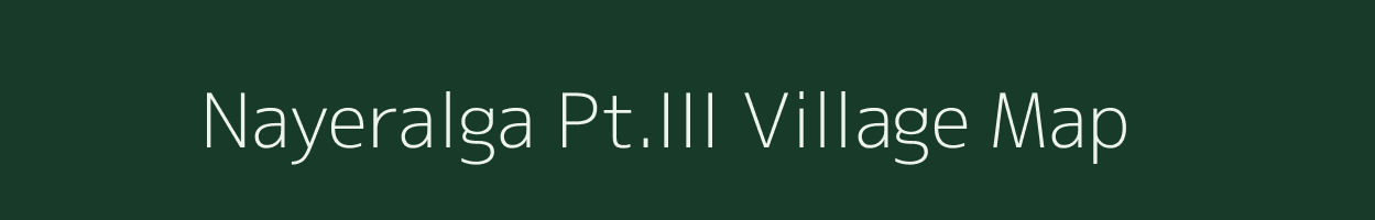 Nayeralga Pt.III village map in Assam