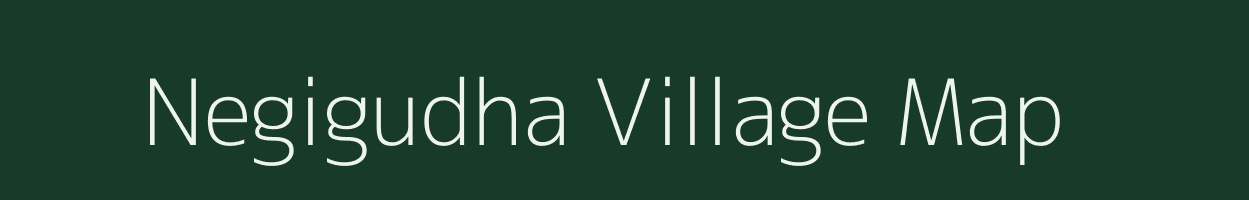 Negigudha village map in Chhattisgarh